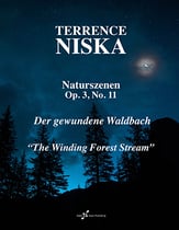 Naturszenen Op. 3, No. 11 piano sheet music cover